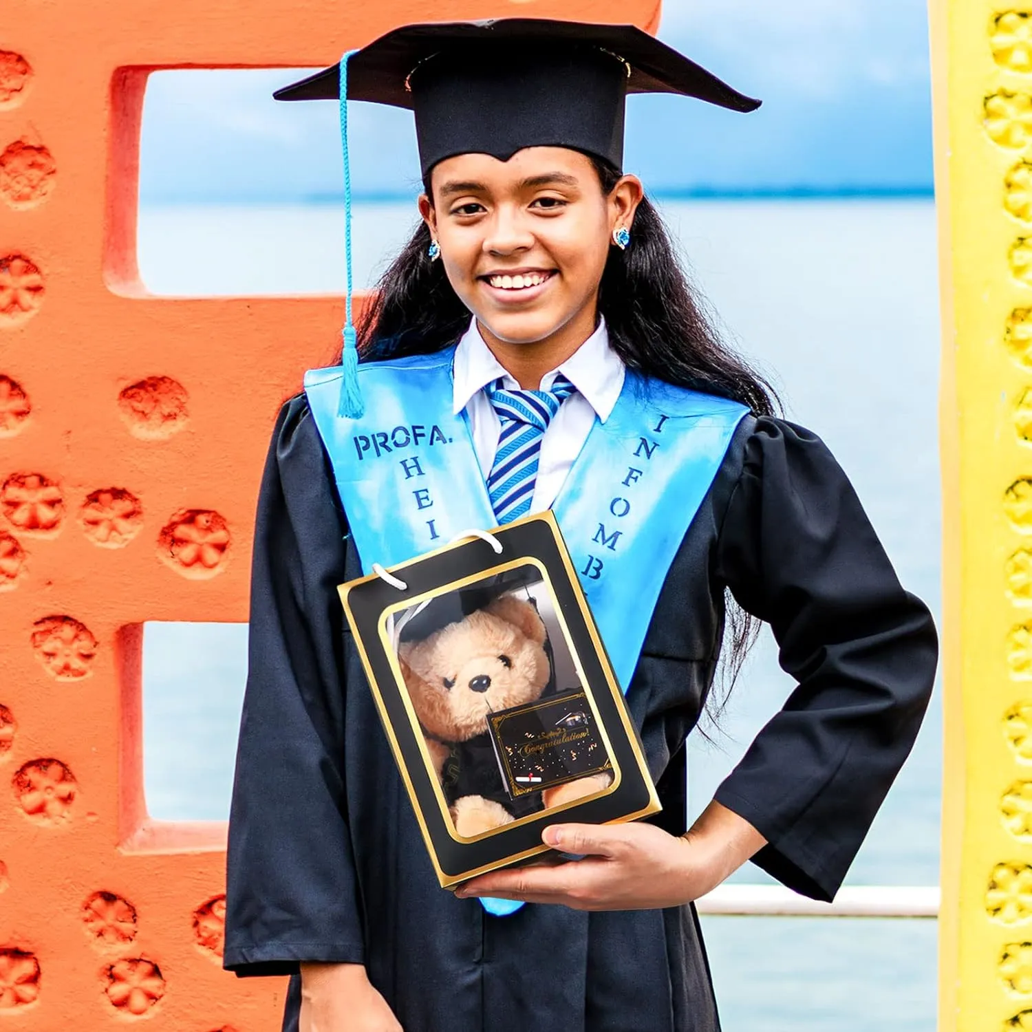 Bear with Graduation Cap Toys Class of 2025 Plush Stuffed Teddy Bear Animal Dog Cap and Gown with Greeting Card and Bag for Graduation Day Gift(Black)