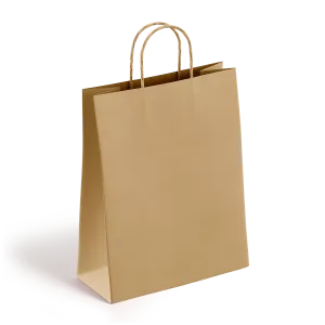 Brown Paper Bags with Handles