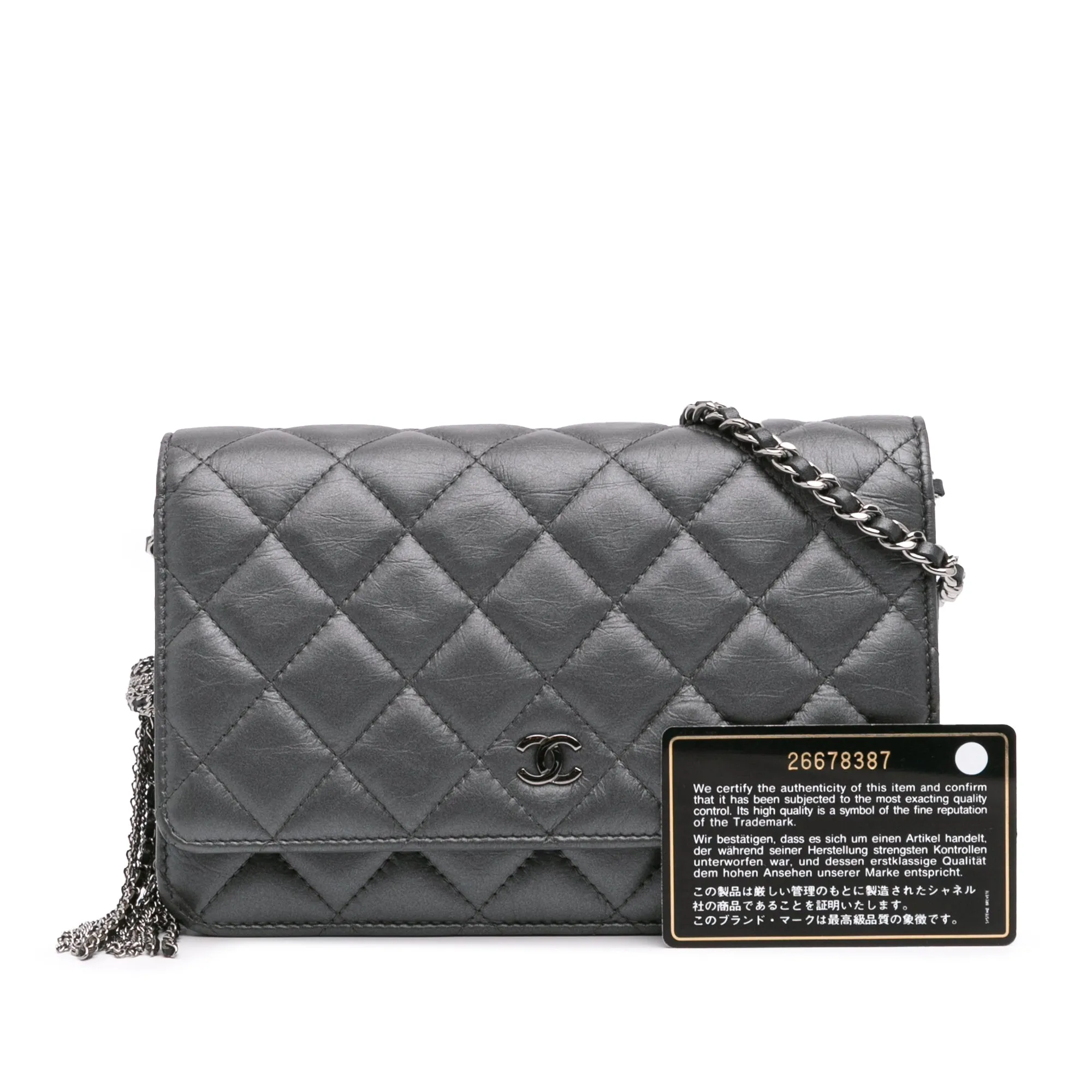 Gray Chanel Quilted Aged Calfskin Tassel Wallet On Chain Crossbody Bag
