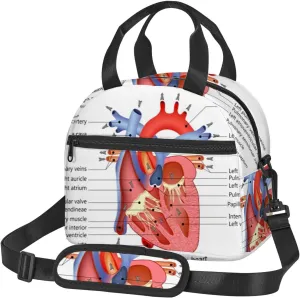 Heart Anatomy,Lunch Box for Women,Medical Structure of The Heart Anatomy,Insulated Lunch Bag Women with Adjustable Shoulder Strap,Cute Lunch Tote Bag for Work,Picnic,Camping,Red