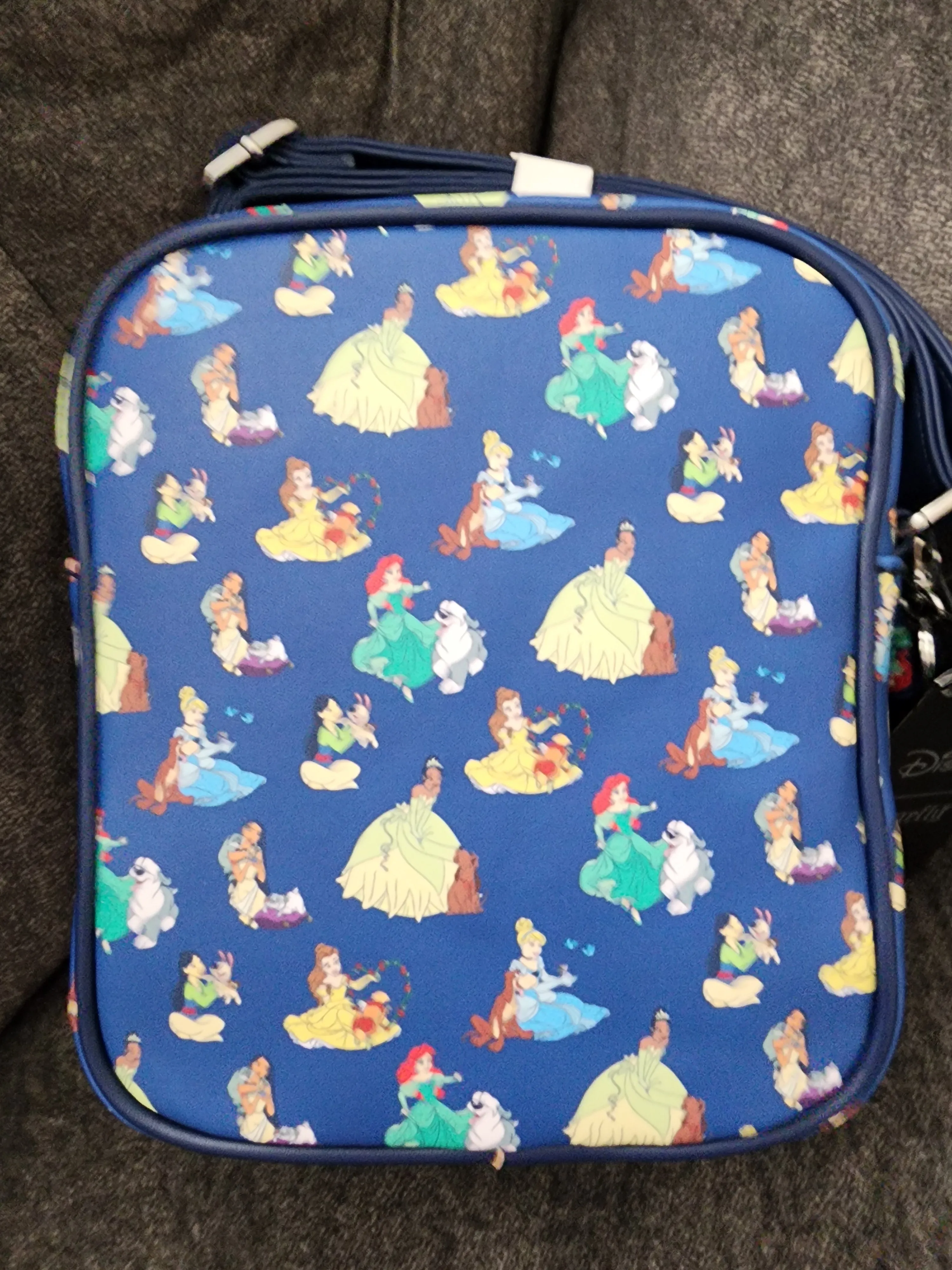 Loungefly Disney Princesses and Their Pets Crossbody Bag